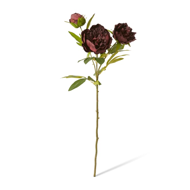 Classic Peony Spray Pack Of 12 - Burgundy, 75cm (H)