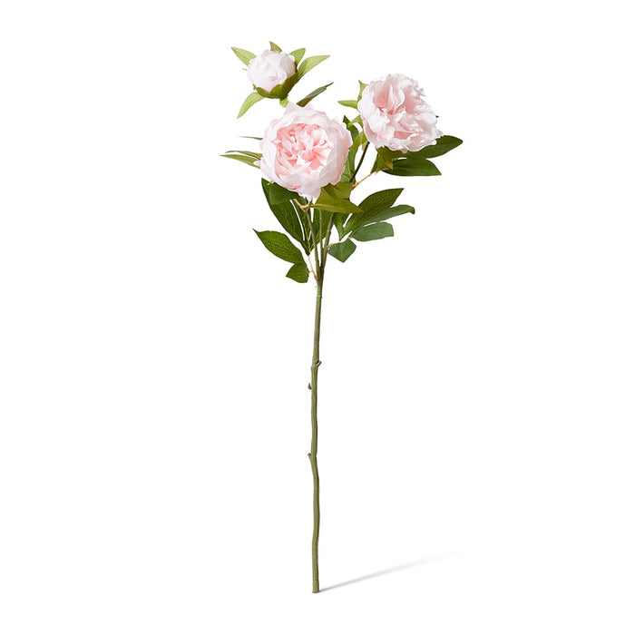 Classic Peony Spray Pack of 12 - Soft Pink, 75cm (H)