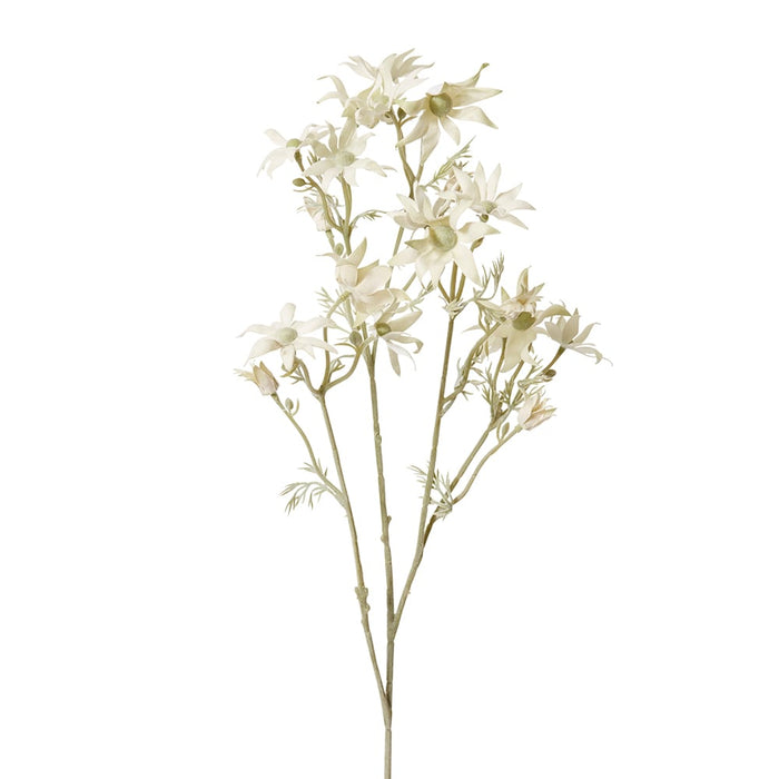 Flannel Flower Spray Pack of 12 - White, 81cm (H)