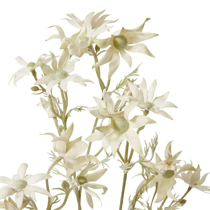 Flannel Flower Spray Pack of 12 - White, 81cm (H)