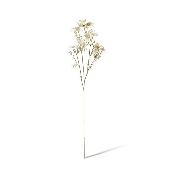 Flannel Flower Spray Pack of 12 - White, 81cm (H)
