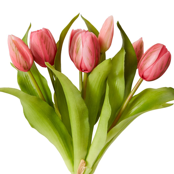 Tulip Petite Bundle Pack of 6 - Dark Pink, 30cm (H)