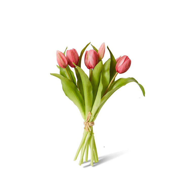 Tulip Petite Bundle Pack of 6 - Dark Pink, 30cm (H)