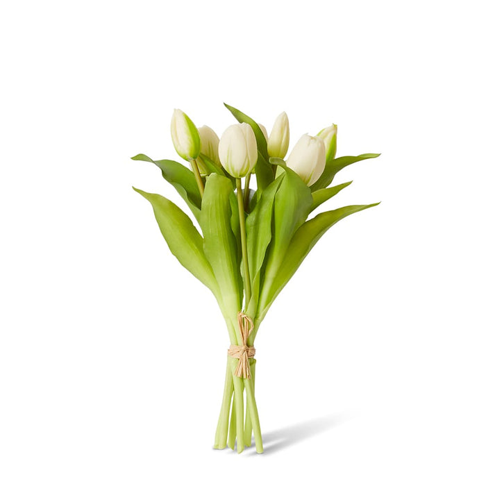 Tulip Petite Bundle Pack of 6 - White, 30cm (H)