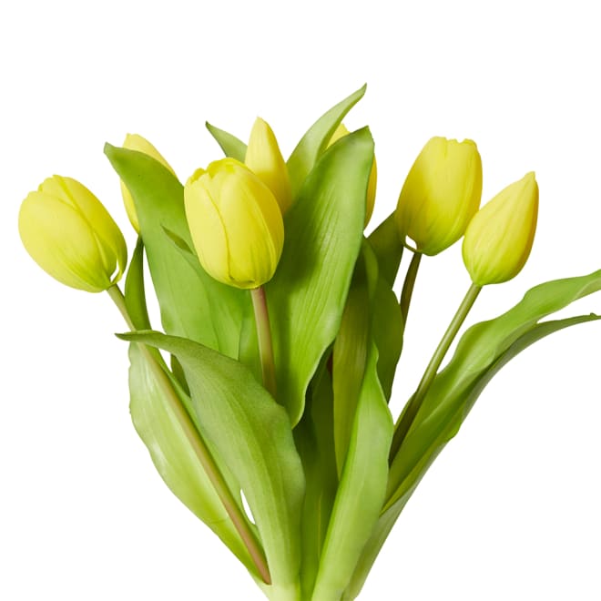 Tulip Petite Bundle Pack of 6 - Yellow, 30cm (H)