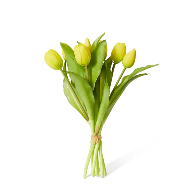 Tulip Petite Bundle Pack of 6 - Yellow, 30cm (H)