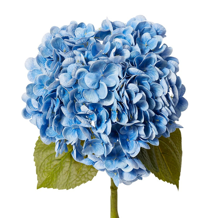 Hydrangea Classic Stem Pack of 12 - Blue, 52cm (H)