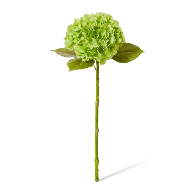 Hydrangea Classic Stem Pack Of 12 - Dark Green, 52cm (H)