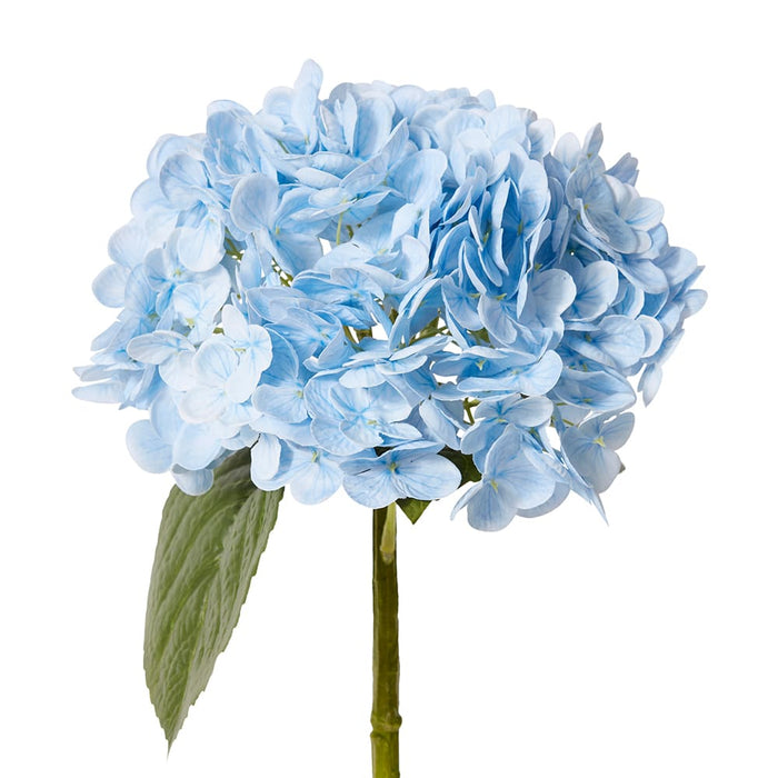 Hydrangea Classic Stem (RT) Pack of 12 - Light Blue, 52cm (H)