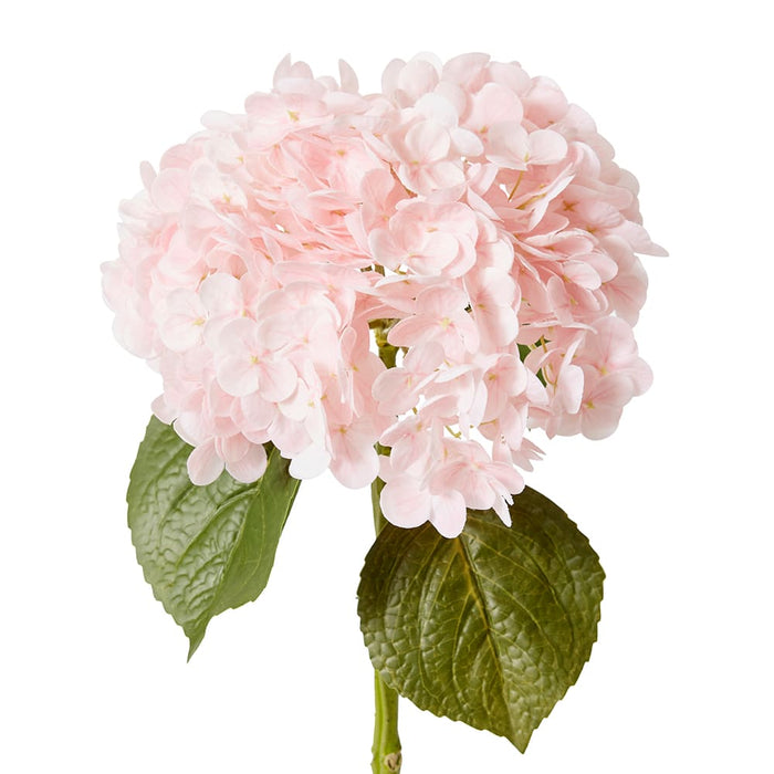 Hydrangea Classic Stem (RT) Pack of 12 - Pink, 52cm (H)