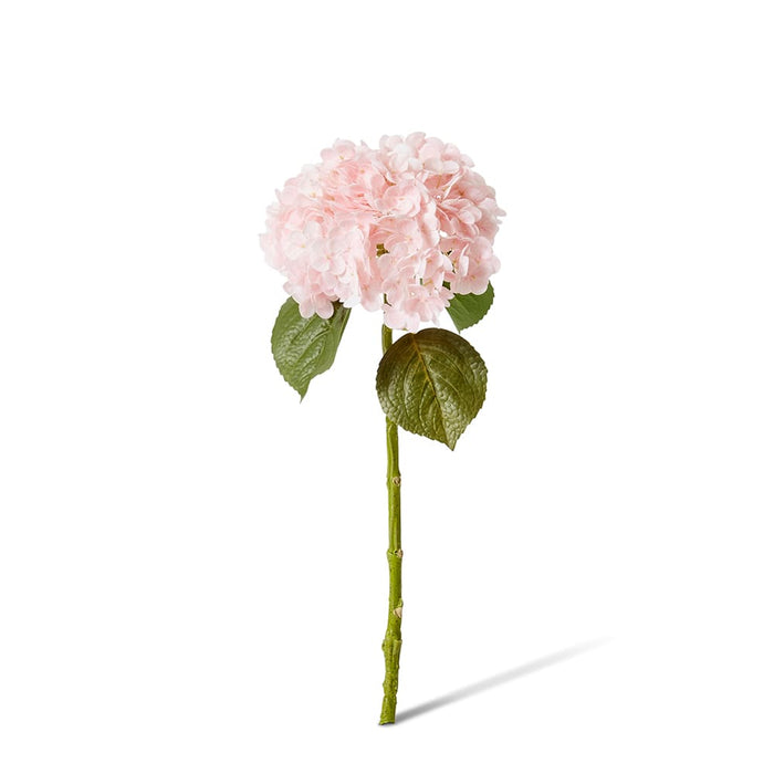 Hydrangea Classic Stem (RT) Pack of 12 - Pink, 52cm (H)