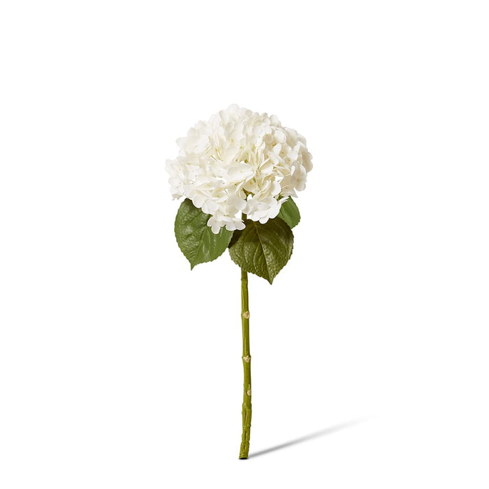 Hydrangea Classic Stem (RT) Pack of 12 - White, 52cm (H)