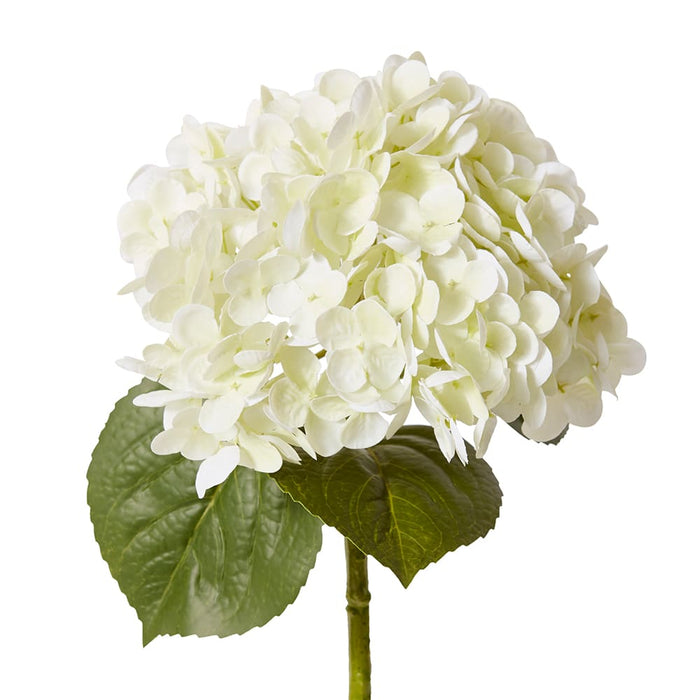Hydrangea Classic Stem (RT) Pack of 12 - White/Green, 52cm (H)