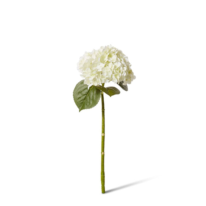 Hydrangea Classic Stem (RT) Pack of 12 - White/Green, 52cm (H)