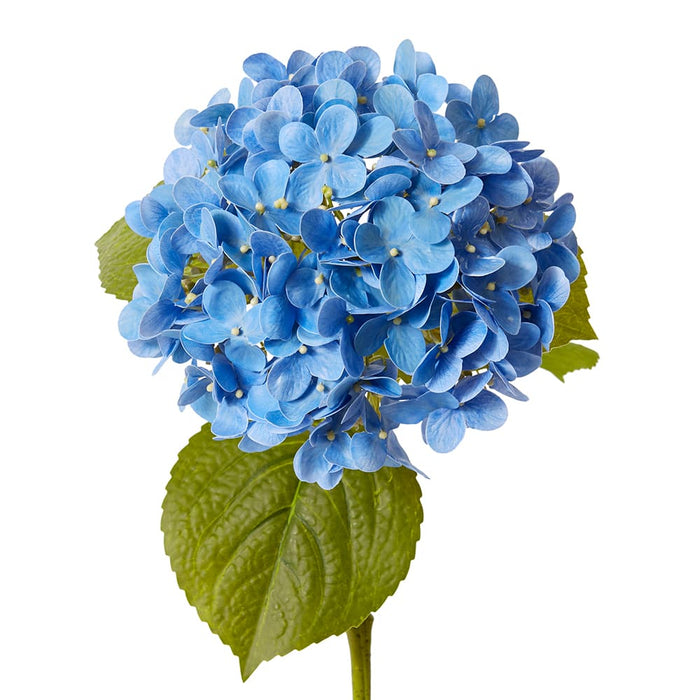 Hydrangea Garden Stem (RT) Pack of 12 - Blue, 61cm (H)