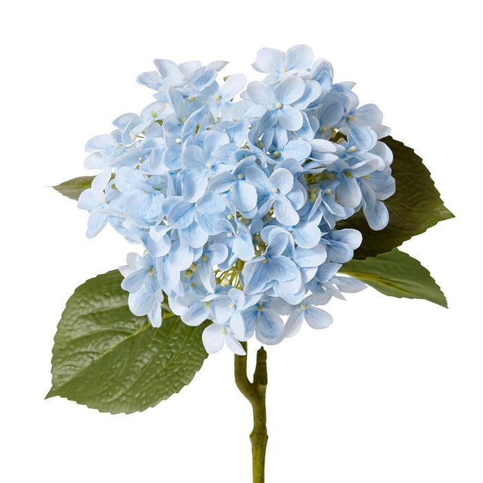 Hydrangea Garden Stem (RT) Pack of 12 - Light Blue, 61cm (H)