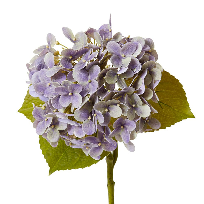 Hydrangea Garden Stem (RT) Pack of 12 - Purple, 61cm (H)