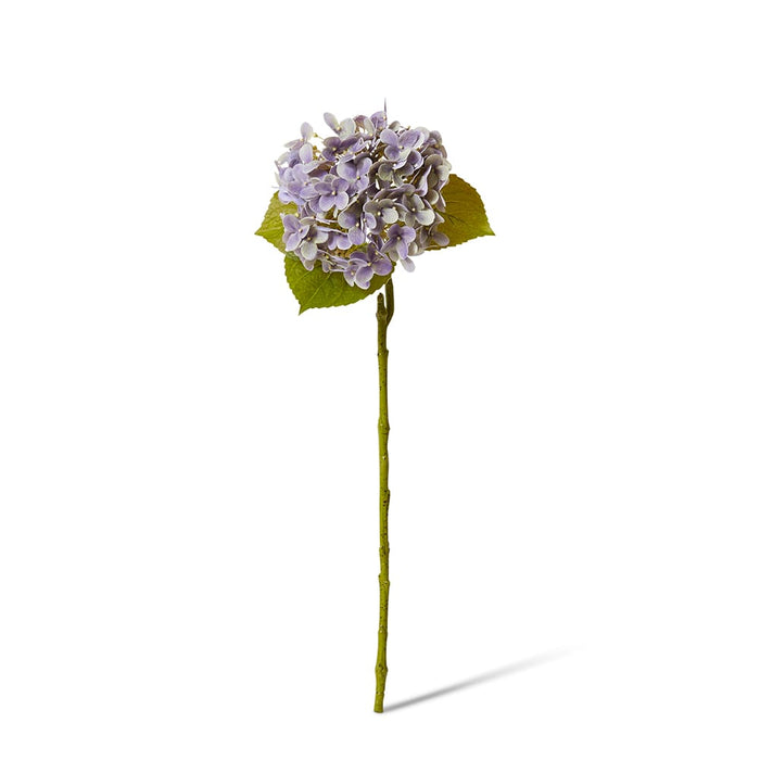 Hydrangea Garden Stem (RT) Pack of 12 - Purple, 61cm (H)