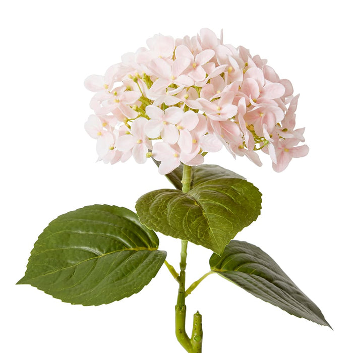 Hydrangea Garden Stem (RT) Pack of 12 - Soft Pink, 61cm (H)