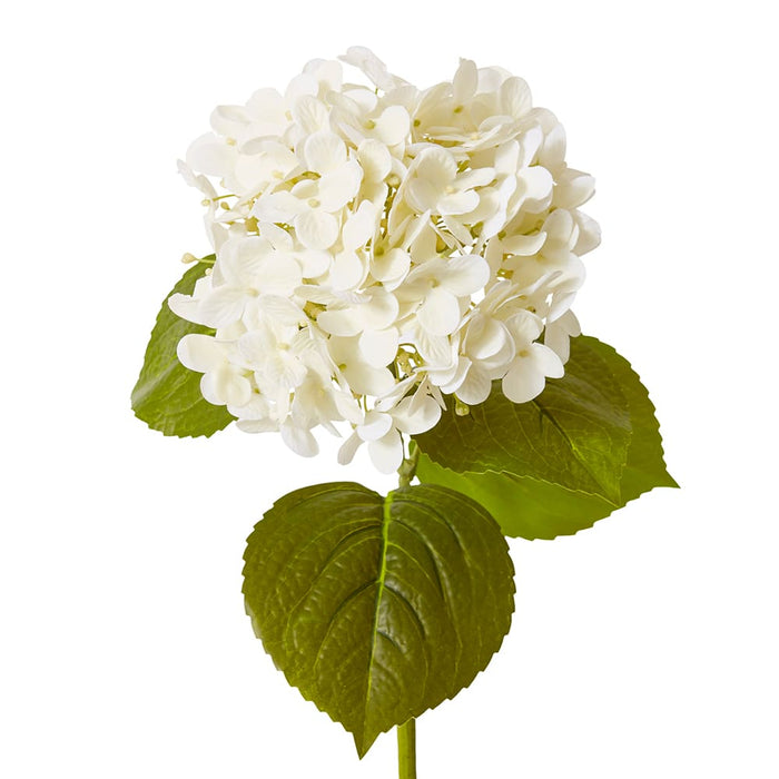 Hydrangea Garden Stem (RT) Pack of 12 - White, 61cm (H)