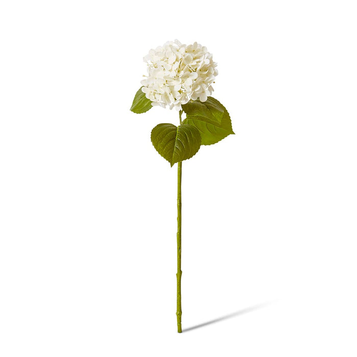 Hydrangea Garden Stem (RT) Pack of 12 - White, 61cm (H)
