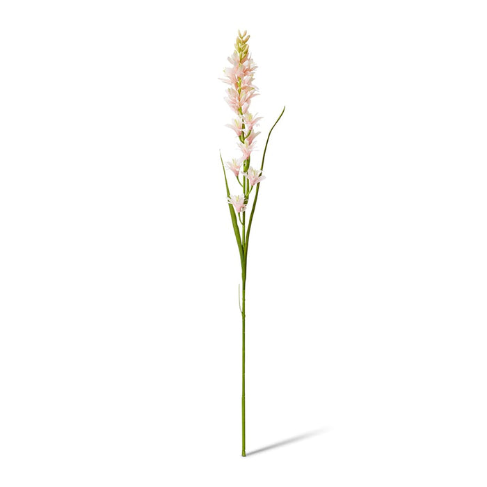 Tuberose Stem Pack of 12 - Pink, 90cm (H)