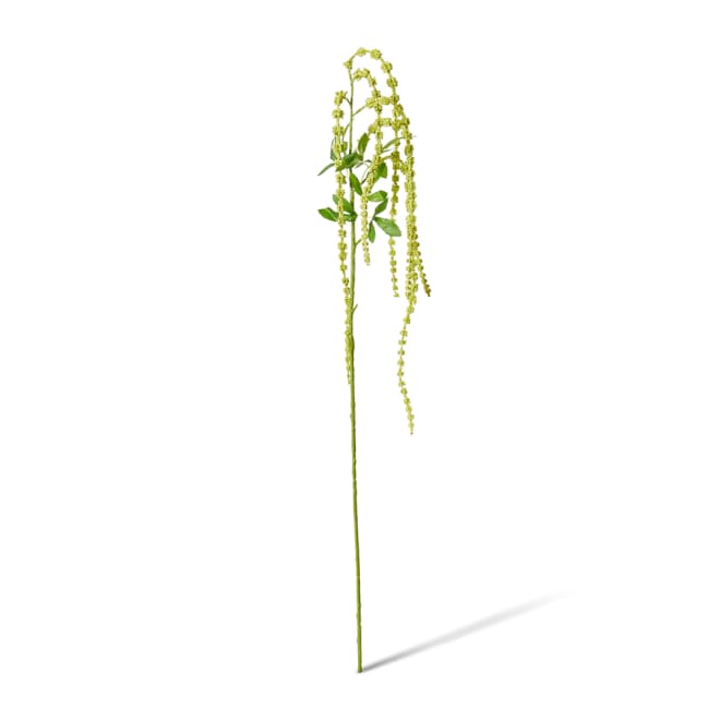 Amaranthus Hanging Spray Pack Of 12 - Green, 118cm (H)
