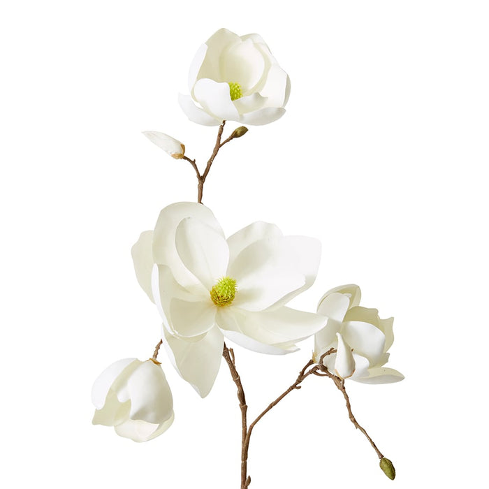 Magnolia Winter Spray Pack of 6 - White, 108cm (H)