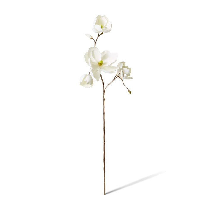 Magnolia Winter Spray Pack of 6 - White, 108cm (H)
