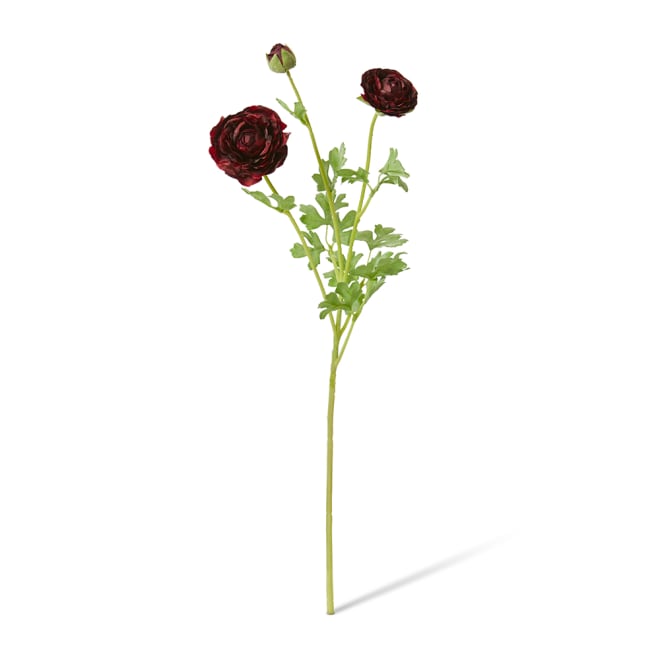 Ranunculus Flower Spray Pack Of 12 - Burgundy, 64cm (H)