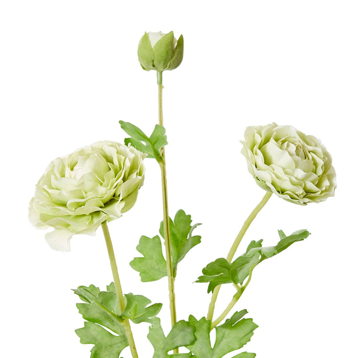 Ranunculus Flower Spray Pack of 12 - Green, 64cm (H)