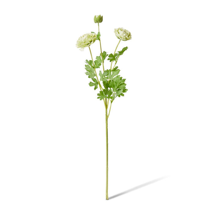 Ranunculus Flower Spray Pack of 12 - Green, 64cm (H)