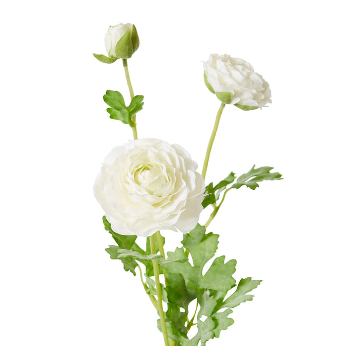 Ranunculus Flower Spray Pack of 12 - White, 64cm (H)