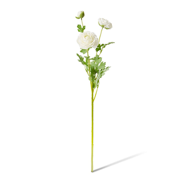 Ranunculus Flower Spray Pack of 12 - White, 64cm (H)