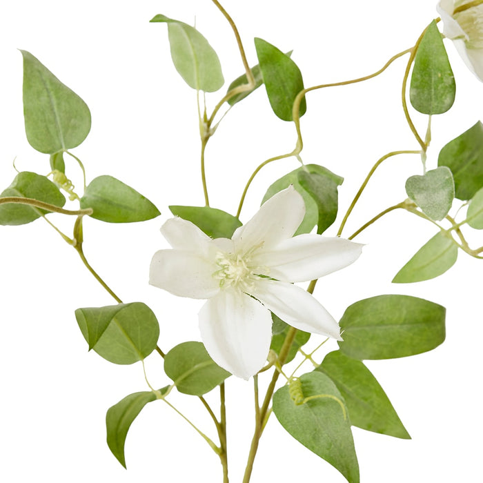 Clematis Flower Spray Pack of 12 - White, 86cm (H)