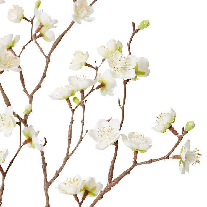 Blossom Plum Spray Pack of 12 - White, 89cm (H)