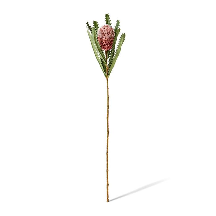 Banksia Stem Pack of 12 - Dusty Pink, 58cm (H)