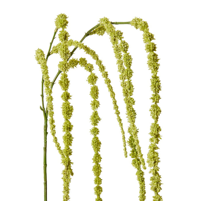 Amaranthus Hanging Spray Pack of 12 - Green, 147cm (H)