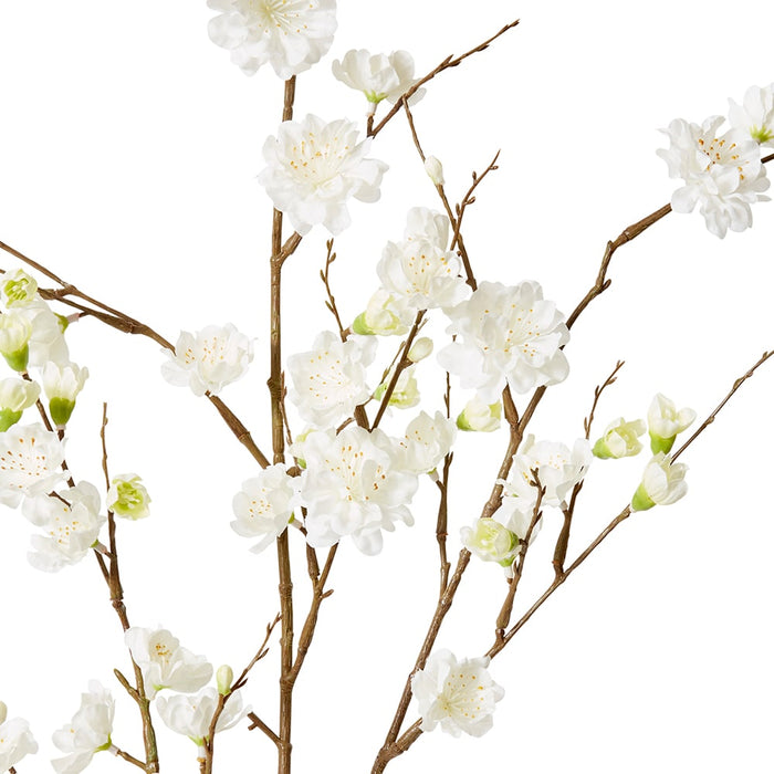 Blossom Plum Spray Pack of 12 - White, 109cm (H)