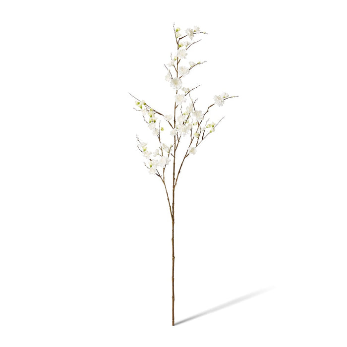 Blossom Plum Spray Pack of 12 - White, 109cm (H)