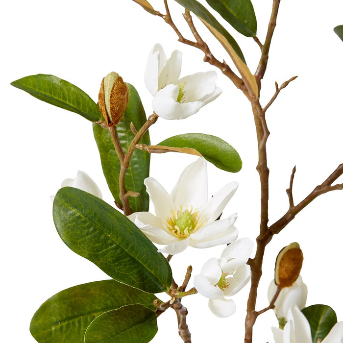 Magnolia Pearl Spray Pack of 12 - White, 84cm (H)