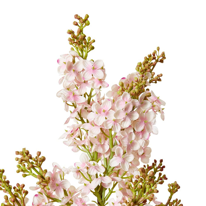 Lilac Spray Pack of 12 - Pink, 76cm (H)