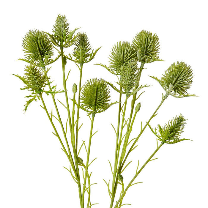 Thistle Spray Pack of 12 - Green, 69cm (H)