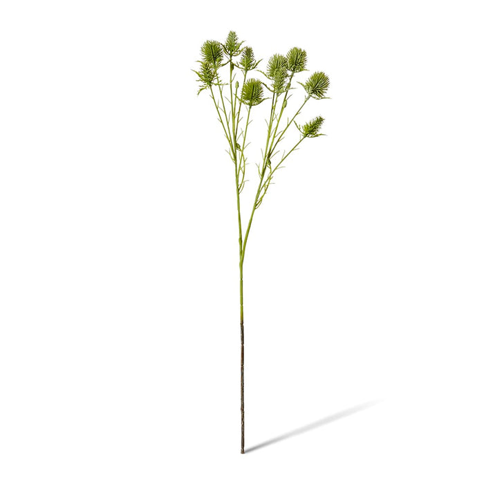 Thistle Spray Pack of 12 - Green, 69cm (H)