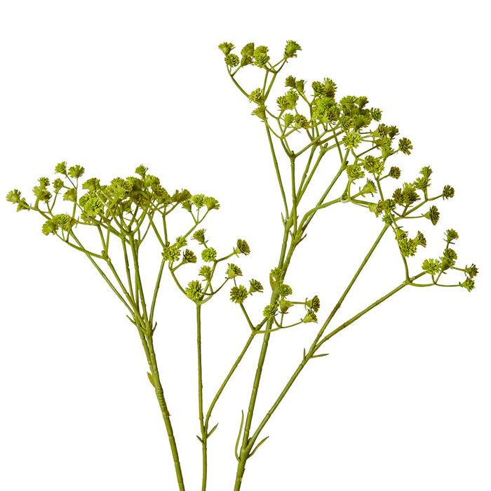 Gypsophila Spray Pack of 12 - Green, 74cm (H)