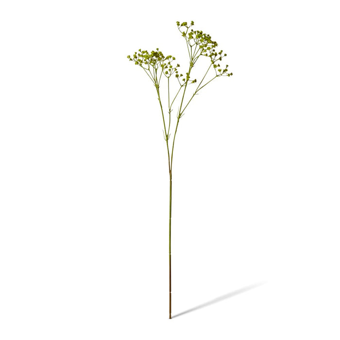 Gypsophila Spray Pack of 12 - Green, 74cm (H)