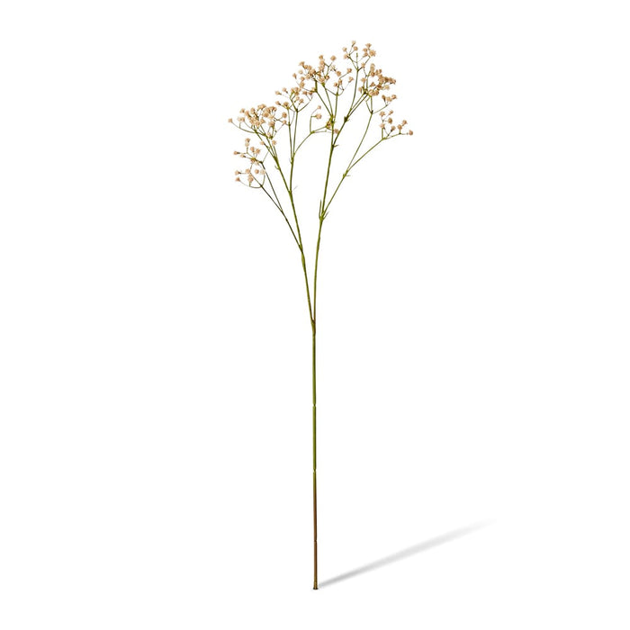 Gypsophila Spray Pack of 12 - Pink, 74cm (H)