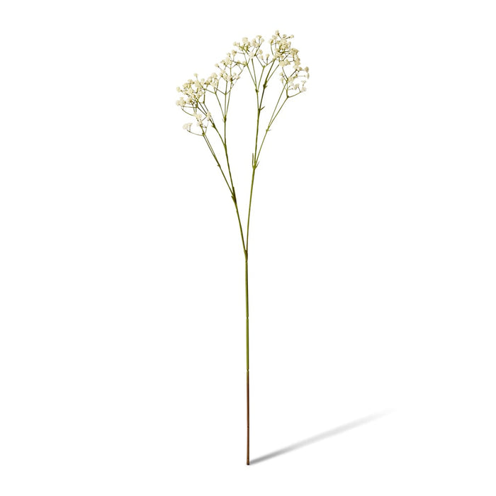 Gypsophila Spray Pack of 12 - White, 74cm (H)
