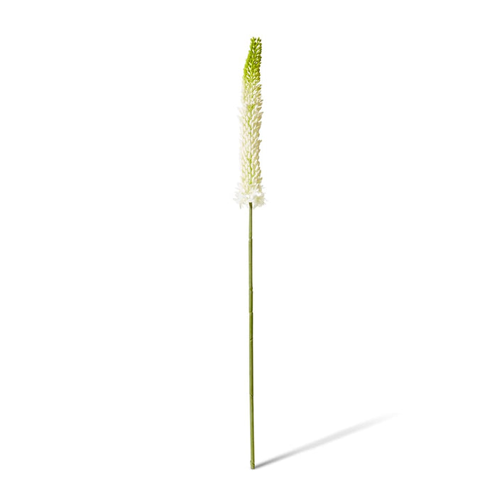 Foxtail Lily Stem Pack of 12 - Green/White, 84cm (H)