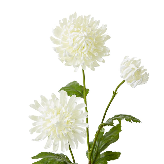 Chrysanthemum Spray Pack of 12 - White, 64cm (H)